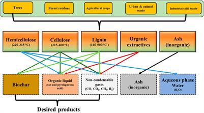 Synthesis of Biochar From Lignocellulosic Biomass for Diverse Industrial Applications and Energy Harvesting: Effects of Pyrolysis Conditions on the Physicochemical Properties of Biochar